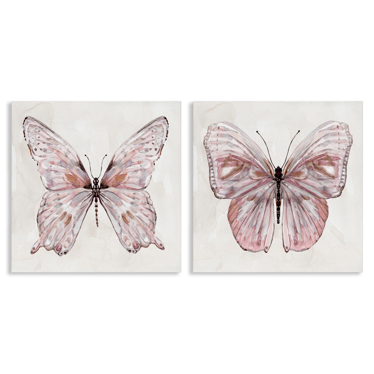 Stupell Industries Unique Butterflies in Muted Pinks 2pc Canvas Set By Carol Robinson